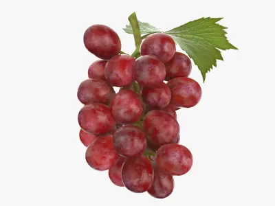 Ripe Red Grape Collection 3D model