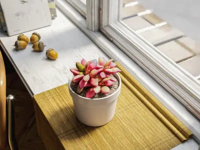  Sunrise Succulent Potted Plant Model  purchase