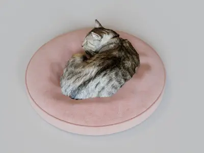 Cat sleeping on a pillow 3d Scan 3D model