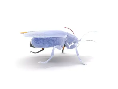 Golden Robo Beetle model pack Low-poly 3D model