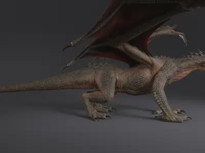 Dragon XO No Rig 3D model