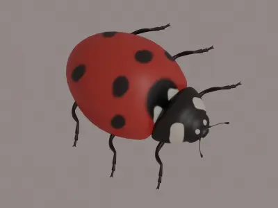 Ladybug 3D model order