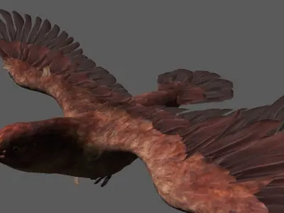 Detailed Bird Low-poly 3D model