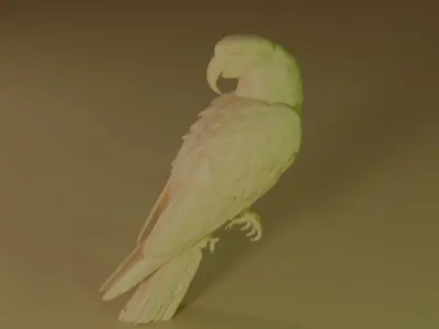 blue macaw 3D model purchase