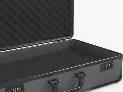 Protective Carry Case with Locks and Foam Insert Black 3D model