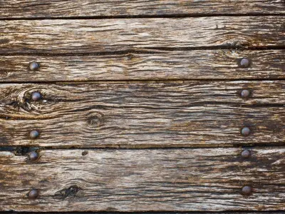 dragon shild Low-poly 3D model