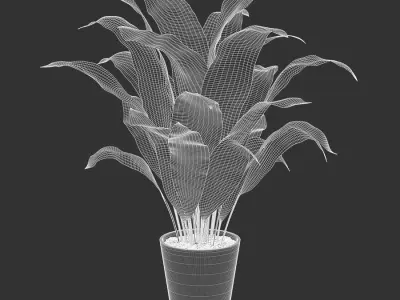  Cast Iron Plant Potted Plant Model 