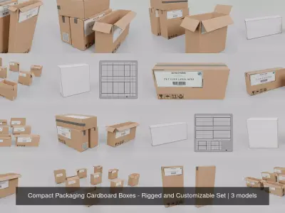 Compact Packaging Cardboard Boxes - Rigged and Customizable Set