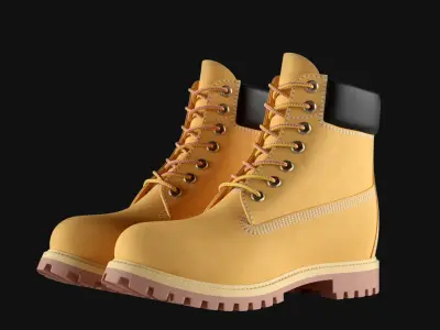 Leather 6-inch Boots Colors 3D model