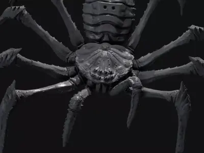 Goliath Huntsman Spider Low-poly 3D model