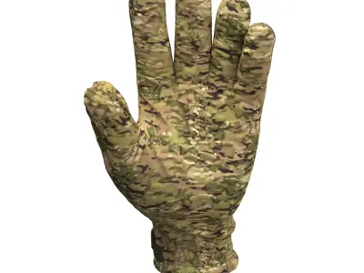 Army Military Tactical Combat Glove clo3d 3D model