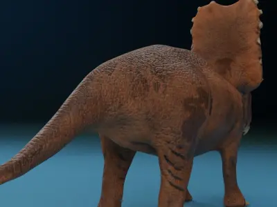 Triceratops  Rigged  Blender  Low-Poly Low-poly 3D model