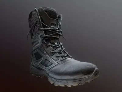 Magnum Elite Spider 8 boot Photogrammetry Free 3D model