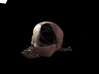 Broken Skull with Spider webs 6 3D model