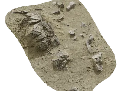  Large Scattered Beach Rock Model  purchase