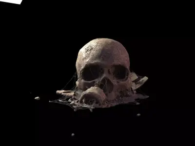 Broken Skull with Spider webs 6 3D model