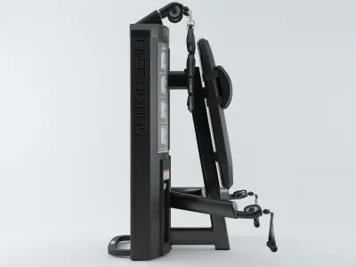 Genesis DS Abdominal Biceps 3D model