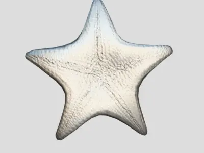 Starfish Low-poly 3D model 2