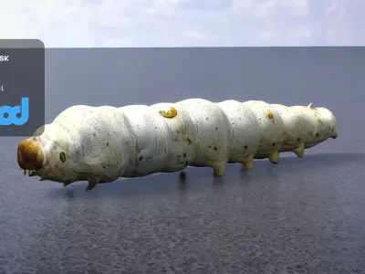 Silkworm 3D model purchase