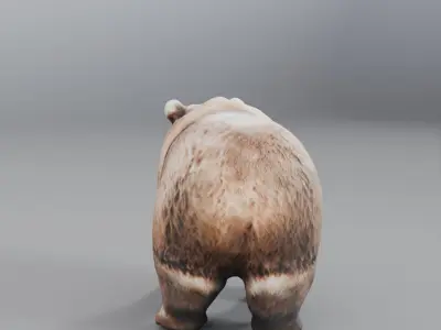 brown bear 3D model