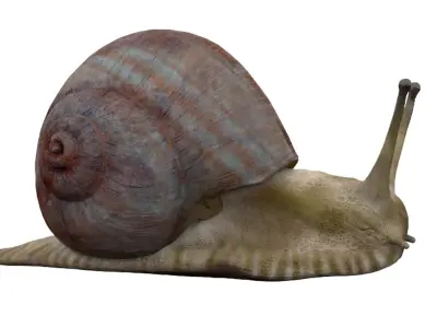 Snail Low-poly 3D model get