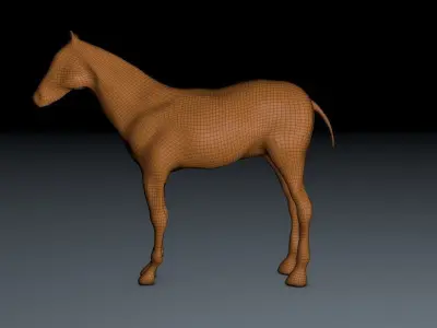Horse 3D model get