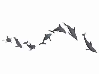 Dolphin jump animation 3D model