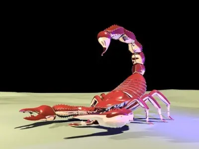 Scorpion 3D model 2