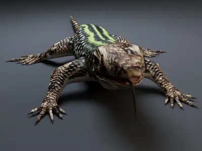 Lizard 3D model get
