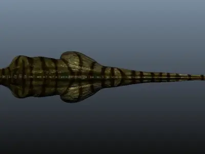 Ceratosaurus dinosaur 3D model