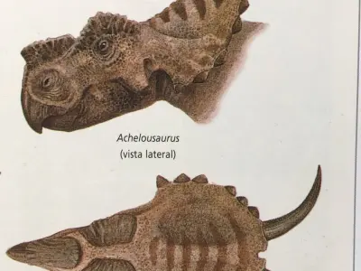 Neoceratopsia Like Dinosaur Triceratops like Dinosaur Second mdl Free 3D model
