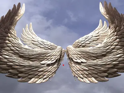 Phoenix Dragon wings 3D model