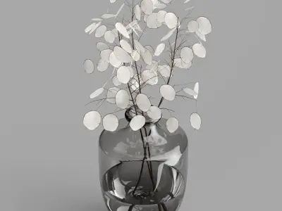 H24 Dark gray tinted glass vase with Lunaria 3D model