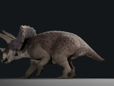 Triceratops - Rig 3D model