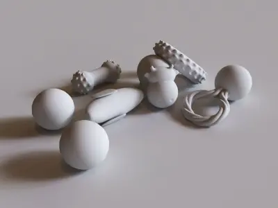 Dog Toys Low-poly 3D model