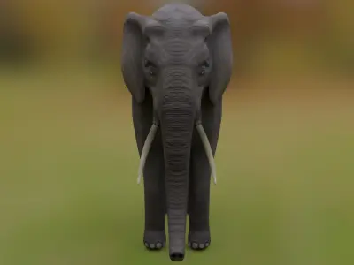 African Elephant Low-poly 3D model purchase