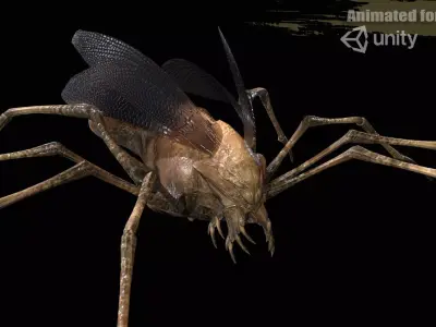 LandBug1 A1 Low-poly 3D model
