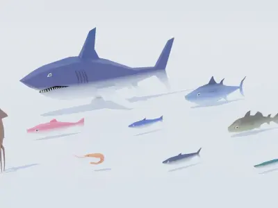 Pack Sea Low-Poly Low-poly 3D model