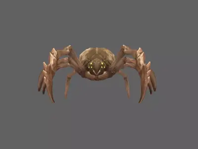 Spider 3D model 25