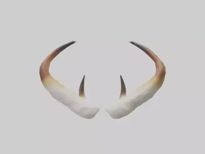 Gazelle Antlers Model 3D model