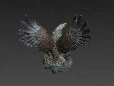 Eagle Scanned Free 3D model