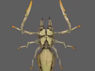 Creature 3D model buy
