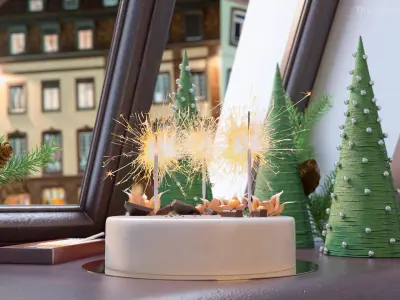 Celebration Mousse Cake with Sparklers and Physalis Decoration 3D model