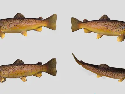 Fish Collection Animated - Game Ready Pack 2 Low-poly 3D model
