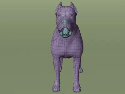Pitbull Low-poly 3D model