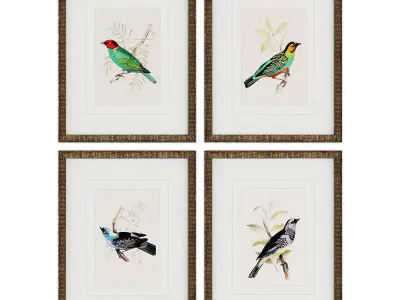 Pictures896 four framed bird prints Low-poly 3D model
