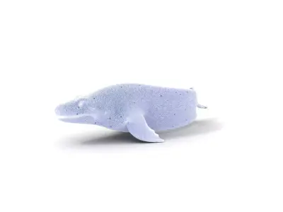 Spotted Aquatic Creature model pack Low-poly 3D model