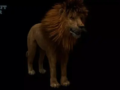 Lion 3D 3D model