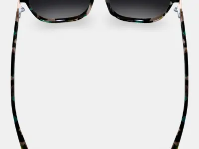 Esme Sunglasses in Aventurine Tortoise with Polished Gold 3D model purchase