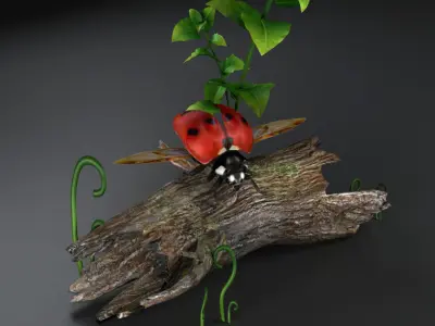 NSECTS ladybugs lady flowers beetles 3D model